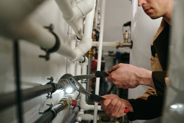 Best Clogged Drain Plumber  in Meridianville, AL